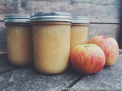 Sugar-Free Applesauce (Canning Recipe) - The House & Homestead Unsweetened Applesauce Recipe, Ukrainian Perogies Recipe, Canning Applesauce, Canned Applesauce, Perogies Recipe, Applesauce Recipe, Canning Recipe, Apple Sauce Recipes, Water Bath Canning