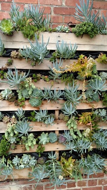 Palet Garden, Plant Partition, Succulent Pallet, Milk Can Decor, Wall Planters Outdoor, Vertical Planting, Pallet Projects Garden, Succulent Garden Design, Garden Decor Diy