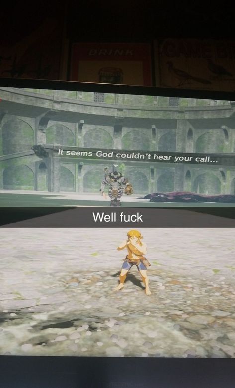 Botw Zelda, Legend Of Zelda Memes, Zelda Funny, Zelda Botw, Video Game Memes, Link Zelda, Wind Waker, Fullmetal Alchemist Brotherhood, Zelda Art