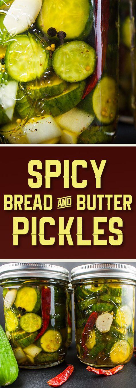 Spicy Bread And Butter Pickles, Summer Pickles, Picked Veggies, Spicy Pickle Recipes, Canning Zucchini, Spicy Bread, Canned Zucchini, Bread N Butter Pickle Recipe, Pickled Recipes