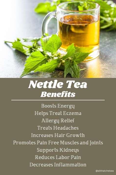 Stinging Nettle Tea Recipe, Nettle Tea Blend Recipe, Nettle Tea Benefits Hair, Stinging Nettle Tea Benefits, Herbal Tea Recipes Natural Remedies, Nettles Aesthetic, Nettle Leaf Tea Benefits, Fit Body For Vision Board, Nettle Tea Recipe