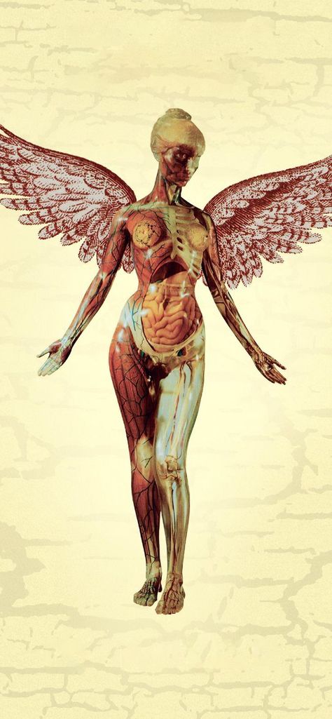 In Utero Wallpaper, Nirvana In Utero, In Utero, Nirvana, Ideas Style, Home Ideas, Style Inspiration, Human, Art