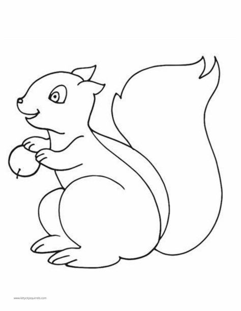 Squirrel Zone-Squirrel Coloring Pages | Kitty City Squirrels Squirrel Clipart Black And White, Squirrel Outline Drawing, Squirrel Template Free Printable, Squirrels Drawing, Simple Pictures To Draw, Squirrel Outline, Squirrel Template, Squirrel Printable, Popular Coloring Pages