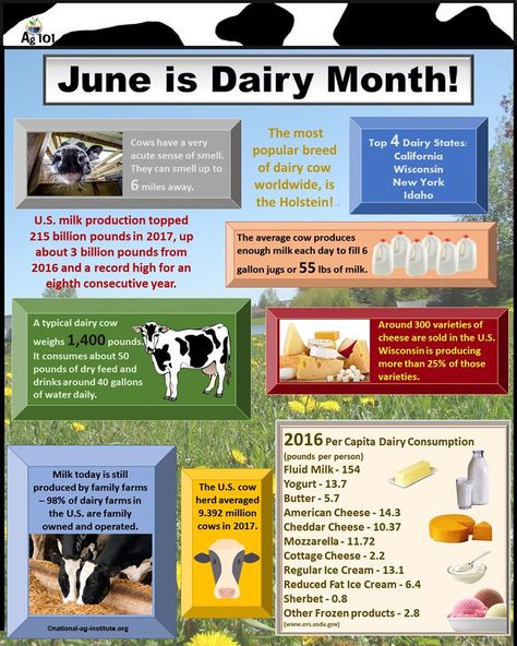 June is Dairy Month.  Drink milk. Support our Farmers! Agriculture Education Activities, June Dairy Month, Cow Facts, Farm Lessons, Month Ideas, Ranches Living, Raising Cattle, Farm Fun, Agriculture Education