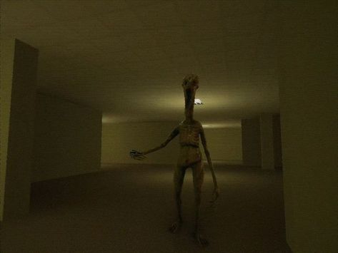 Backrooms - Scary Creature (Found Footage) Backrooms Creatures, Back Rooms, Horror Things, Found Footage, Horror Series, Analog Horror, Liminal Space, Liminal Spaces, Fantasy Creatures Art