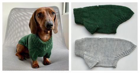 Dog Sweater, Slippers, Vest, Shawl, Hat, Blanket, Cardigan, Cowl and More Knitting Patterns Sweater Slippers, Sweater Free Knitting Pattern, Girls Hats, Knitted Patterns, Blanket Cardigan, Knit Dog Sweater, Fair Isle Knitting Patterns, Chunky Knitting Patterns, Cozy Accessories