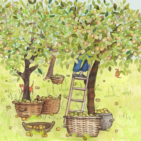 Apple Picking . an Orchard of Apple Trees Baskets of Apples - Etsy Apple Tree Drawing, Apple Cat, Apple Illustration, Magic Drawing, Hello Greeting, Apple Baskets, Apple Trees, Halloween Scene, Winter Bird