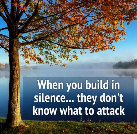 When you build in silence... they don't know what to attack.  #silencequotes #privatelife #keepyourlifeprivate #deeplifethoughts When You Build In Silence Quotes, Build In Silence, Human Angel, Silence Quotes, Life Thoughts, Private Life, Image Quotes, Don T Know, Beautiful Images