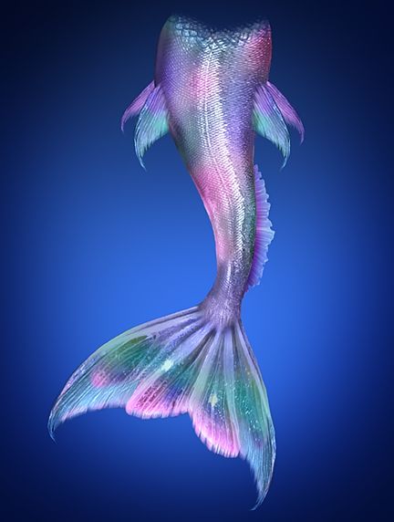 mermaid tail Mermaid Tail Drawing, Realistic Mermaid Tails, Realistic Mermaid, Mermaid Fin, Iridescent Mermaid, Silicone Mermaid Tails, Siren Mermaid, Mermaid Lagoon, Real Mermaids