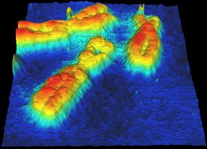 Atomic Force Microscopy, Future Medicine, Nerve System, I Love Science, Back Bone, Image 3d, Microscopes, Emerging Technology, Dirt Bikes