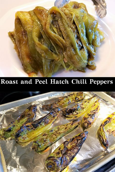 Roasting Hatch Chilies In Oven, Roast Chili, Hatch Chili Peppers, Hatch Green Chili Recipe, Roasted Chili Peppers, Hatch Chilies, Food Questions, Hatch Peppers, Roasted Green Chili