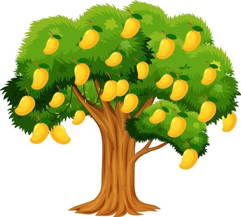 Mango Tree Images, Yellow Mango, Cartoon Maker, Cartoon Trees, Tree Clipart, Mango Tree, Tree Artwork, Lord Ganesha Paintings, Tree Stickers