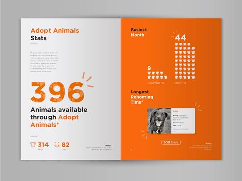 Kale Charity Annual Report Corporate Report Design, Creative Annual Report Design, Report Design Inspiration, Nonprofit Annual Report Design, Annual Report Design Inspiration, Annual Report Layout, Report Layout, 보고서 디자인, 브로셔 디자인