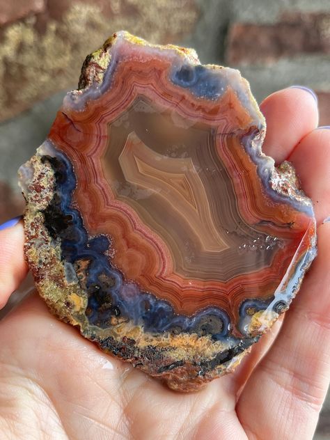 Slab Mountain offers you this stone slab of natural laguna agate measuring 3 1/8 inches across at it's widest points and the thickness of this slab is 7mm.  Not polished.  Pictures show the stone dry.  May be present: Natural pitting, saw marks, may have some fractures as seen in the pictures.  These are sold for lapidary art and when the stone is wet or polished, the colors stand out much more.  You will receive your slab dry so the colors may seem muted when compared to the first and second pictures.  Pictures are also taken in the sunlight. Lapidary Art, Laguna Agate, Lapidary Supplies, Beautiful Ocean, Minerals And Gemstones, Rocks And Gems, Rock Hounding, Horse Stuff, Stone Rocks