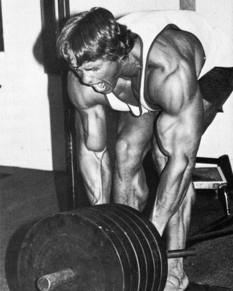 Golden Era Bodybuilding, Old Bodybuilder, Arnold Schwarzenegger Bodybuilding, Aesthetics Bodybuilding, Schwarzenegger Bodybuilding, Bodybuilding Pictures, Vision Board Images, Brand Refresh, Basketball Wallpaper