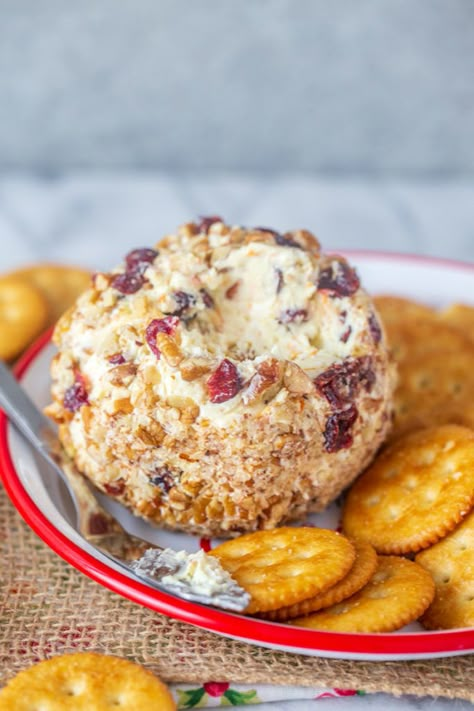 Cranberry Orange Pecan Cheeseball Cranberry Orange Cheese Ball, Pecan Cranberry Cheese Ball, Cranberry Cheeseball, Pecan Cheeseball, Food Lovers Diet, Strawberry Blondie, Dessert Cheese Ball, Cheese Ball Recipes Easy, Cream Cheese Ball