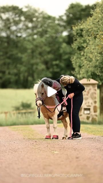 Johanna Due-Boje on Instagram: "That special first ride at home with your new pony 💕" Pony Videos, Funny Horse Pictures, Baby Horse, Cute Horse Pictures, Dream Yard, Pony Rides, Horse Videos, Funny Horse, Cute Horses