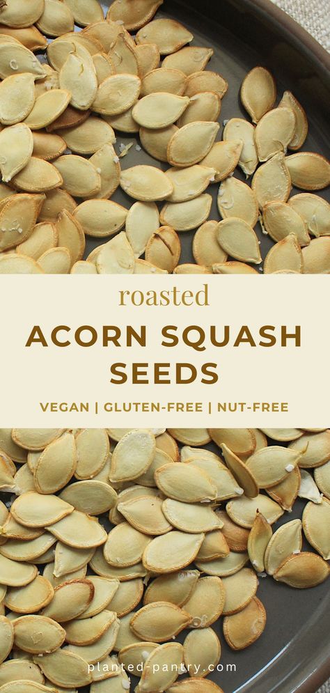 Just like pumpkin seeds, these Roasted Acorn Squash seeds are a great low-waste snack for the next time you make acorn squash. Acorn Squash Seeds Roasted, Roasted Acorn Squash Seeds, Acorn Squash Seeds, Roasted Acorn Squash, Acorn Squash Recipes, Squash Seeds, Roasted Pumpkin Seeds, Low Waste, Homemade Tacos