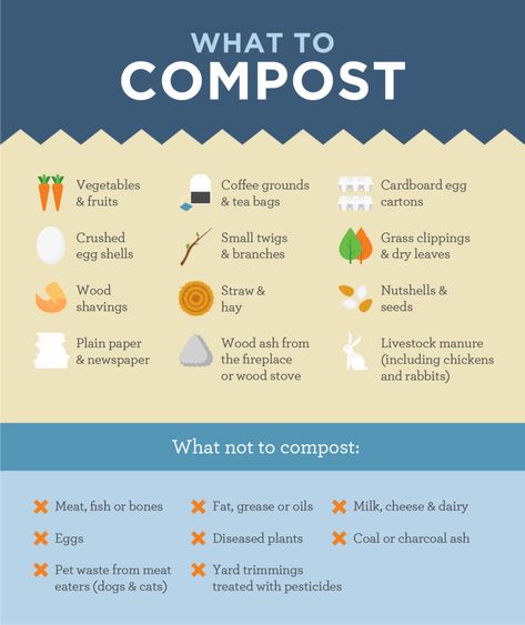 Home Composting Basics | Extra Mile | The Hartford What To Compost, Outdoor Compost Bin, Home Composting, Composting Methods, Sustainability Education, Composting Process, Vegetable Harvest, Red Worms, Composting At Home