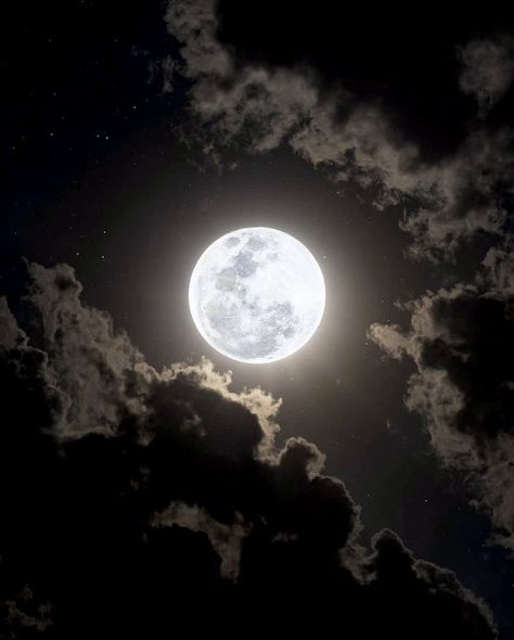 Beautiful Moon Pictures, Moon Pics, Moon And Stars Wallpaper, Dnd Oc, The Moon Is Beautiful, Moon Photos, Look At The Moon, Moon Pictures, Night Scenery