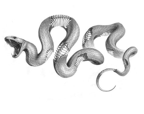 Worst Tattoos, Cobra Tattoo, Snake Illustration, Snake Drawing, Snake Tattoo Design, Snake Art, Gothic Tattoo, Tattoo Portfolio, Snake Design