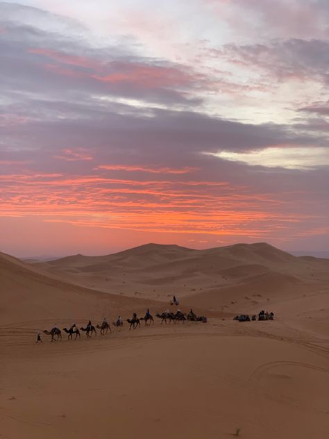 sunset in the desert of merzouga (morocco) Sahara Desert Morocco, Desert Sunset Aesthetic, Morocco Dessert, Marrakech Morocco Aesthetic, Morocco Scenery, Morocco Pictures, Merzouga Morocco, Moroccan Desert, Desert Morocco