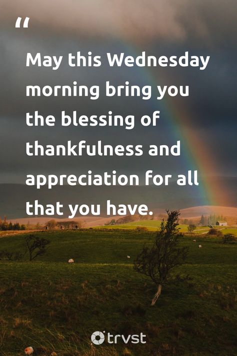 "May this Wednesday morning bring you the blessing of thankfulness and appreciation for all that you have."  Here's a little Wednesday wisdom to keep in your heart: Cherish what you have, be it big or small. Tag someone who needs this reminder today 🤗💚  #Trvst #Quotes #ChangeTheWorld #DoGood #HumpDay #Wednesday #Blessings #Thankfulness #Appreciation #WednesdayQuotes  📷 @illiyapresents Funny Wednesday Quotes, Wednesday Morning Quotes, Wednesday Blessings, Week Quotes, Good Wednesday, Wednesday Quotes, Sports Psychology, Wednesday Motivation, Mental Attitude