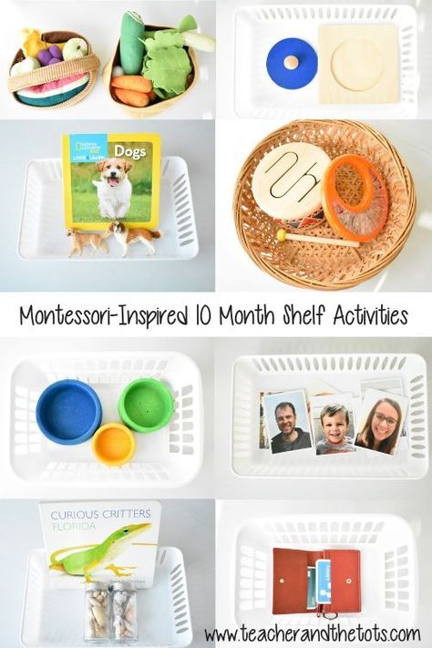 10 Montessori-inspired shelf activities for 10 month olds! A mix of fine motor, gross motor, and language/discovery baskets. #montessori #montessoribaby #10months 10 Month Old Baby Activities, Montessori Activities Baby, Montessori Baby Activities, Baby Development Activities, Baby Montessori, Baby Sensory Play, Baby Play Activities, Montessori Toddler Activities, Baby Learning Activities