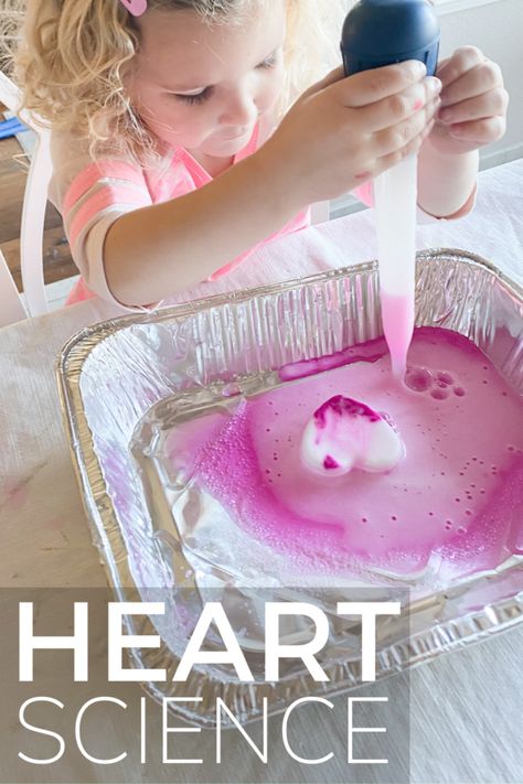 Baking Soda Valentine's Day Science Activity - Toddler Approved Simple Art Activity, Heart Ice, Holiday Science, Indoor Activities For Toddlers, Circle Crafts, Valentine Activities, Pink Day, Science Activities For Kids, Valentines Day Activities