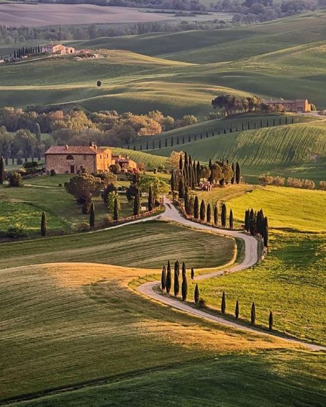 Tuscany Aesthetic, Tuscany Vineyard, Tuscany Landscape, Val D Orcia, Tuscany Travel, Toscana Italia, Italian Countryside, Italy Aesthetic, Italian Villa