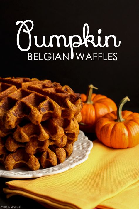 Pumpkin Waffles Recipe, Chocolate Chip Waffles, Belgian Waffles Recipe, Waffle Maker Recipes, Pumpkin Waffles, Pumpkin Chocolate Chips, Belgian Waffles, Gluten Free Pumpkin, Waffle Recipes