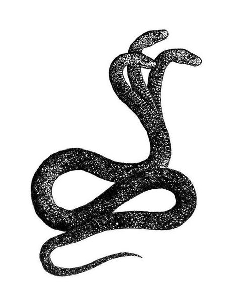 //\\ Snake Drawing, Snake Art, 1 Tattoo, Desenho Tattoo, Snake Tattoo, Flash Art, A Snake, Ancient Greece, Glyphs