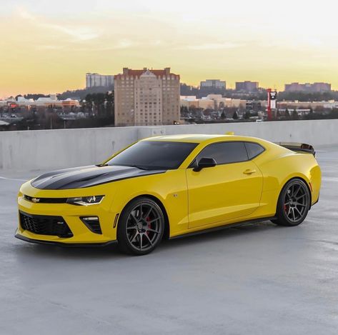 Chevrolet Camaro SS 1LE painted in Bright Yellow w/ a set of ZITO ZF02 wheels painted in Satin Gunmetal Photo taken by: @stan1le on Instagram Owned by: @host1le_gen6 on Instagram Cheverlot Camaro, Chevrolet Camaro Yellow, 2023 Camaro, Yellow Camaro, Chevrolet Camaro Zl1, Camaro Rs, Camaro Zl1, Chevrolet Camaro Ss, Jaguar Car