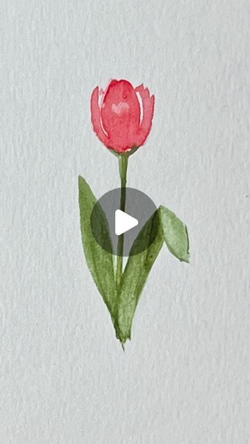 Tanya on Instagram: "Here we go again with no music in the background as it removes the accompanying voiceover when IG plays silly games.  Tulips are probably one of the simplest flowers to paint, but there is always room for growth and few new little tweaks that will give them a bit more realism.. .  #beyondbasics #beyondbasicsstudio  .  #watercoloring #watercolourfun #theseareafewofmyfavoritethings . . #paintbrush #paintbrushes #painttutorial #watercolor_tutorials #watercolourlesson #loosefloralwatercolor #paintwithme #paintwithlove #createdaily #tulippainting #watercolourflorals #tulippainting #tulipseason. #watercolourpainting" Tulip Paintings, Flowers To Paint, Tulip Watercolor, Tulip Season, Tulip Painting, Watercolor Tulips, Watercolor Tutorials, Silly Games, Here We Go Again