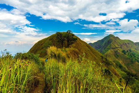 Unveiling the Wonders of the Philippine Plateau Pacific Ring Of Fire, Travel Philippines, Habitat Destruction, Ring Of Fire, Environmental Conservation, Sustainable Tourism, Philippines Travel, Human Interaction, Sustainable Practices