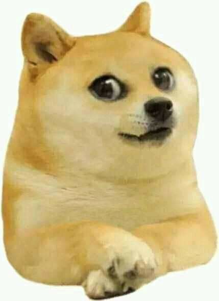 Cheems Dog Png, Cheems Dog, Cheems Doge, Doge Dog, Dog Template, Funny Gaming Memes, Doge Meme, Drip Art, Dog Jokes