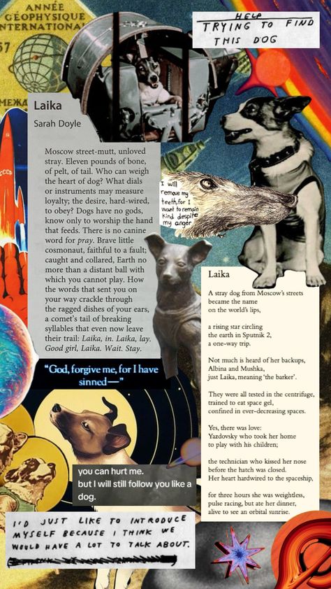 Laika the space dog collage Laika Dog, Dog Collage, Dog Poetry, You Deserve The World, Space Dog, Look At The Stars, Patron Saints, Story Writing, Funky Art