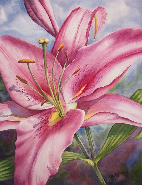 Pink Stargazer Lily, watercolour by Shelley Waring Rose Flowers Drawing, Decoration Craft Ideas, Pot Drawing, Lilies Drawing, Lily Art, Lily Painting, Flowers Drawing, Easy Flower, Drawing Simple