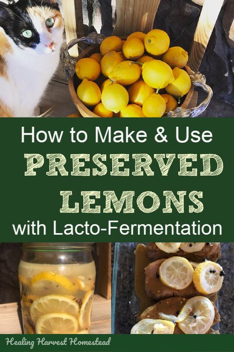 Fermentation is my favorite way to preserve most fruits and vegetables for later use. It’s SO much healthier than any other food preservation method, and generally, fermented foods taste absolutely delicious! Here is how to ferment lemons, along with two different recipes for flavor. You’ll also find out how to use these in your cooking! #fermented #lemons #fermentation #howtomake #howtouse #healingharvesthomestead Lemon Fermentation, Canning Citrus, Fermented Lemons, Fermented Fruit, Fermenting Foods, Recipes Mediterranean, Homemade Kombucha, Lemongrass Spa, Mediterranean Spices