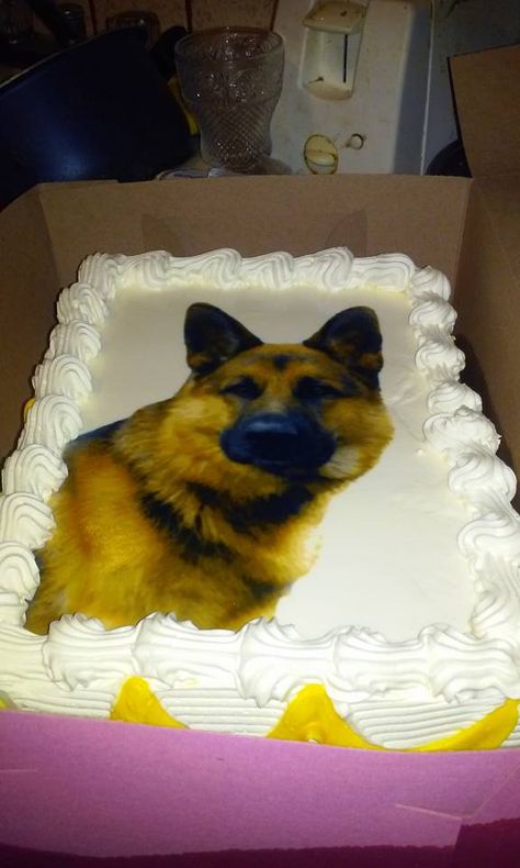 GSD Cake German Shepherd Cake Ideas, German Shepherd Cake, Fondant German Shepherd, German Shepherd Birthday, Birthday Cake With Dog Design, Dog Birthday Cake Meat, Dog First Birthday, Pull Apart Cupcake Cake, 60th Birthday Cakes