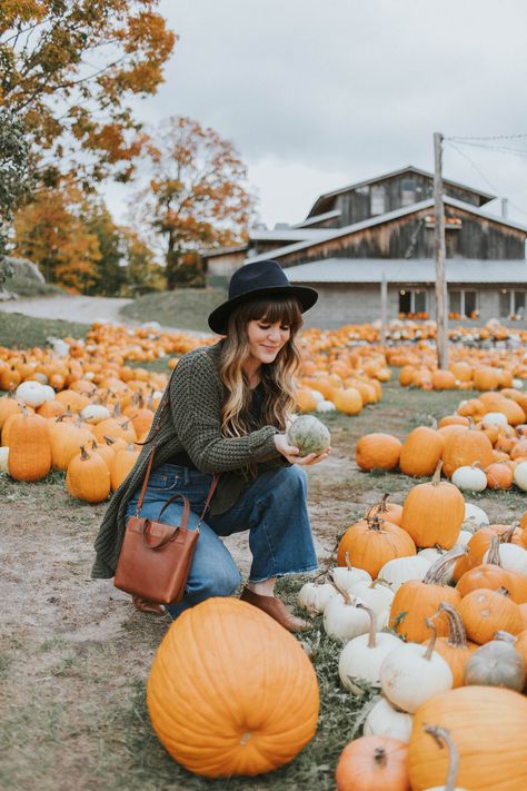 Selective Potential, Tunnel Of Trees, 2020 Style, Beer Tasting, Crop Jeans, Long Sleeve Bodysuit, Outfit Details, Style Board, Sweater Weather