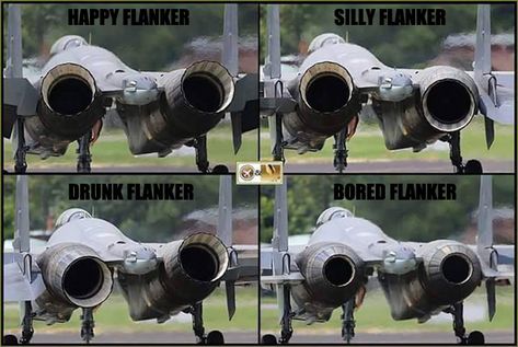 tvc Thrust Vectoring, Aviation Humor, Airplane Fighter, Aircraft Engine, Modern Birds, Air Fighter, Jet Engine, Military Jets, Jet Aircraft