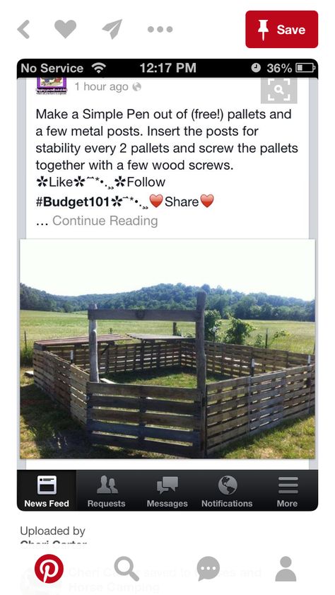 Diy Dog Pen Outdoor, Diy Dog Pen, Dog Pen Outdoor, Goat Pen, Raising Farm Animals, Horse Shelter, Goat Barn, Pallet Fence, Future Farms