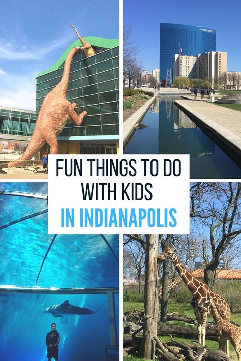 Learn more about the best things to do with kids of all ages during a visit to Indianapolis, Indiana. Outdoor adventures, museums, and more! #Indianapolis #Indy #familytravel #travel #Indiana #Indianatravel Indiapolis Indiana Things To Do, Indiapolis Indiana, Travel Indiana, Zionsville Indiana, Adventure Mom, Lafayette Indiana, Indiana Travel, Things To Do With Kids, Indoor Activities For Kids