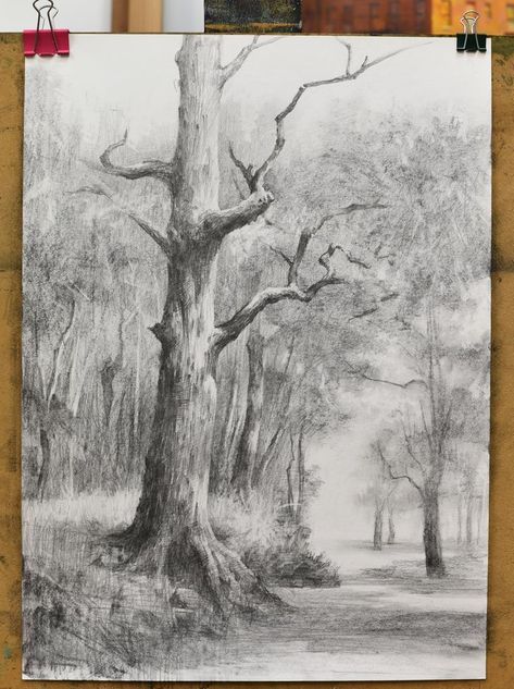 Capturing Tranquility: Pencil Tree Sketches Tree Trunk Drawing, Tree Pencil Sketch, Nature Sketches Pencil, Pencil Tree, Landscape Pencil Drawings, Tree Drawings Pencil, Pencil Trees, Beauty Culture, Nature Sketch