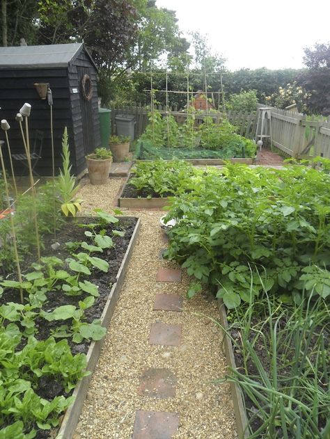 Allotment Ideas, Raised Garden Bed Plans, Edging Plants, Vegetable Garden Raised Beds, Allotment Gardening, Small Vegetable Gardens, Vegetable Garden For Beginners, Diy Raised Garden, Potager Garden