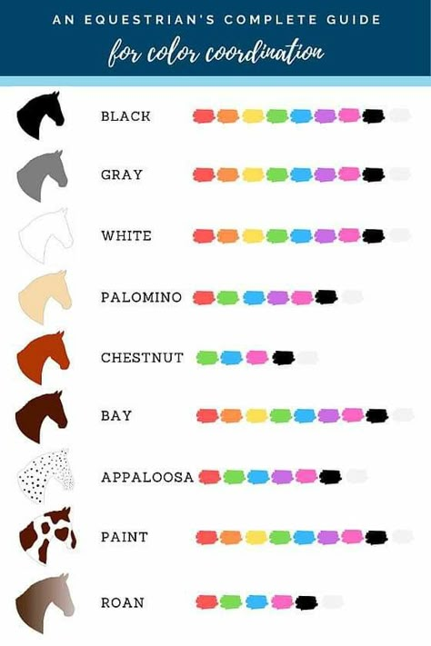 Horse Tack Color Guide, Horse Tack Color Chart, Horse Color Chart Tack, Tack Colors For Horses, Palomino Horse Tack Color, Palomino Tack Colors, Wild Horse Island Roblox Horses, Wild Horse Islands Tack Ideas, Bay Horse Tack Colors