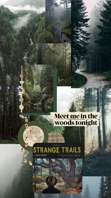 #traveling #woods #outdoorsy #earth #collage #lordhuron #meetmeinthewoods Lord Huron Aesthetic, Earth Collage, Cabincore Aesthetic, Strange Trails, Granola Girl Aesthetic, Nature Collage, Lord Huron, Noah Kahan, Nature Camping