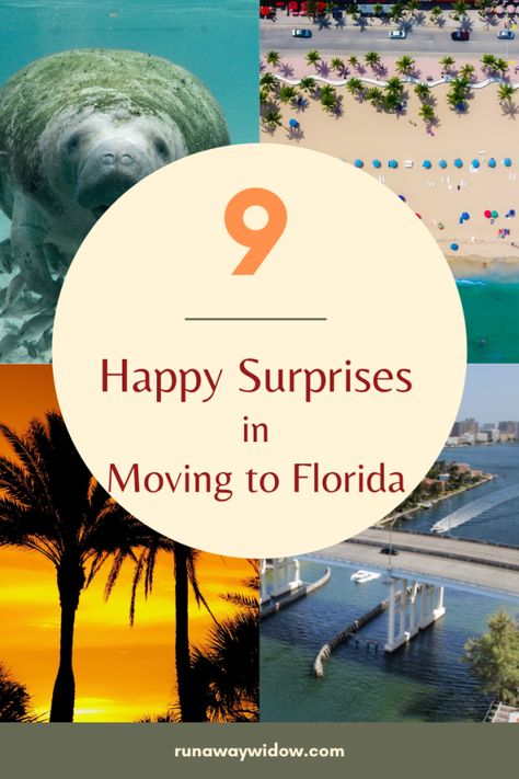 Moving To Florida Party, Moving To Florida Aesthetic, Moving To The Beach, Move To Florida, Utah Beach, Visit Alaska, Moving To Florida, Florida Living, Getting A Puppy