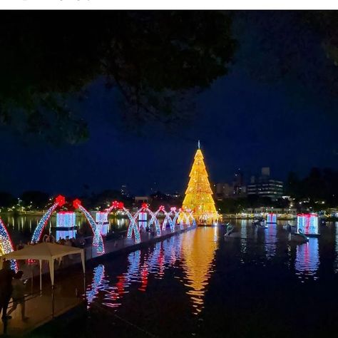 Christmas In Brazil, Floating Christmas Tree, Brazil, Floating, Christmas Tree, Lake, Christmas